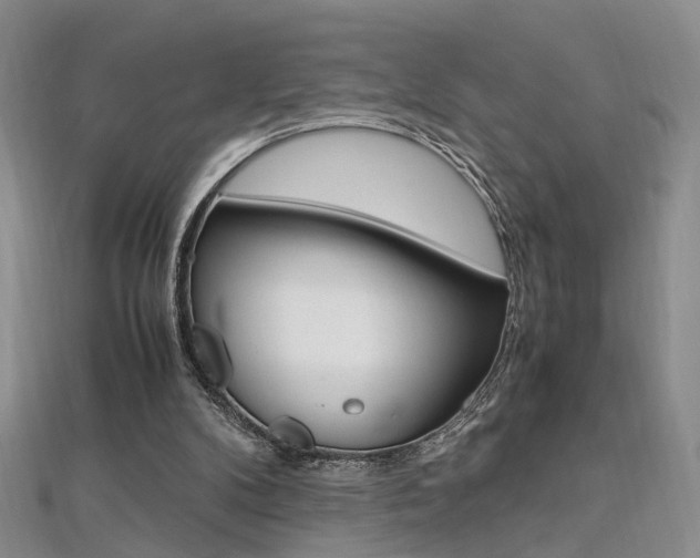 X0000112170104200908071007