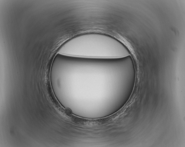 X0000112170105200908071007