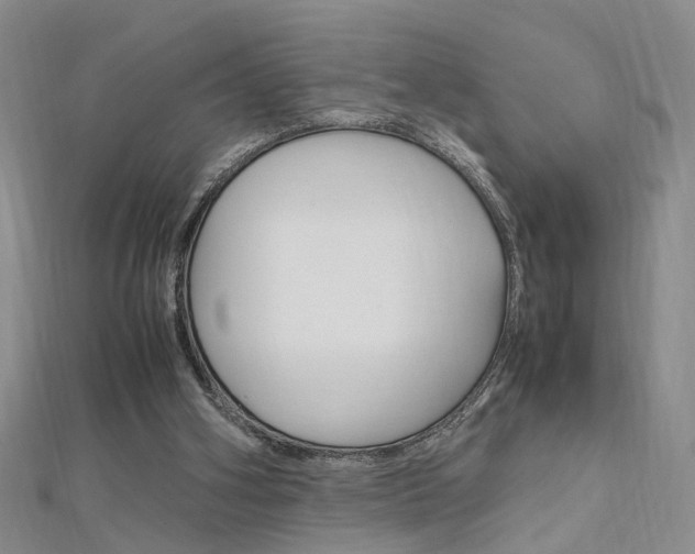 X0000112170106200908071007