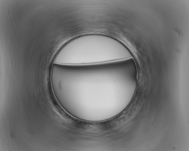 X0000112170107200908071007