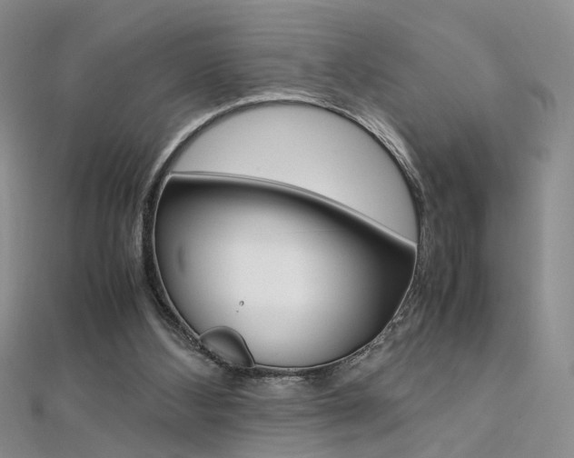 X0000112170108200908071007