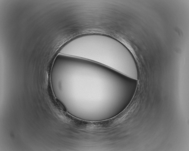 X0000112170109200908071007