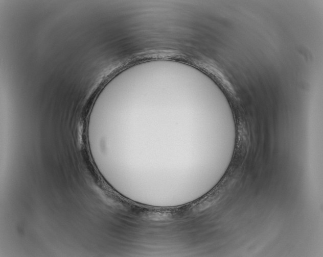 X0000112170110200908071007