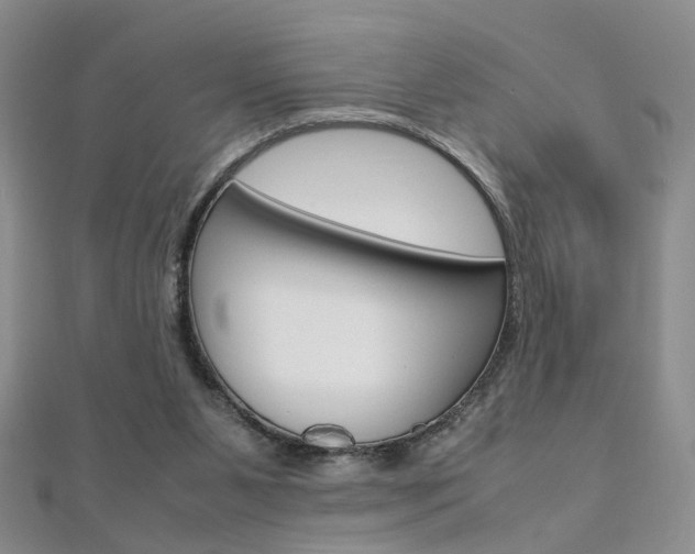 X0000112170111200908071007