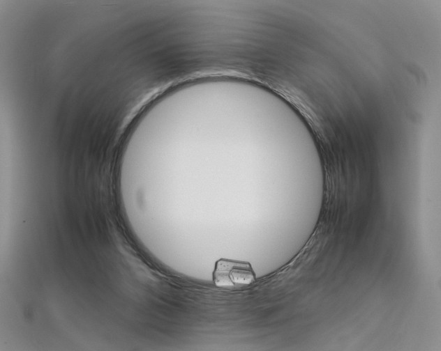 X0000112170112200908071007