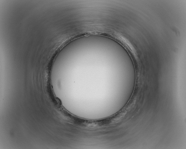 X0000112170113200908071007