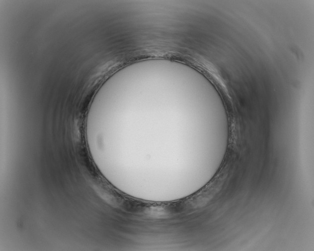 X0000112170114200908071007