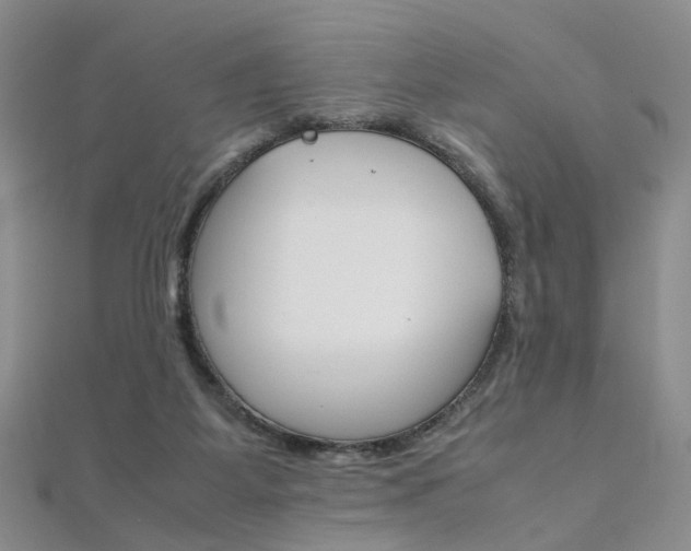 X0000112170115200908071007