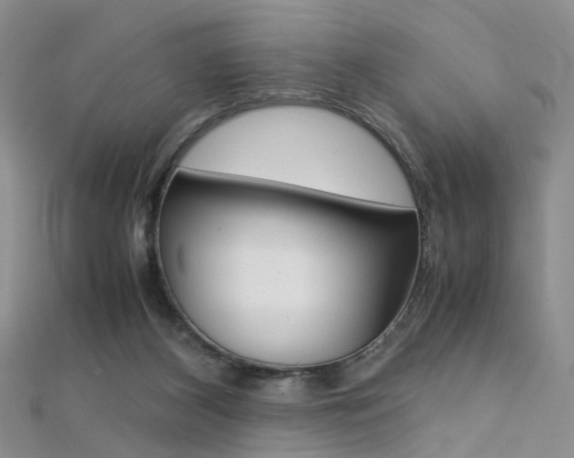 X0000112170116200908071007