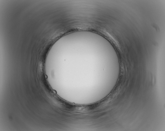 X0000112170117200908071007