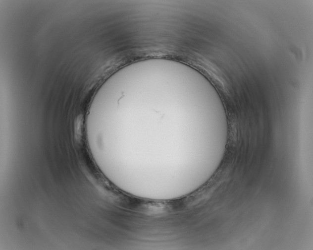 X0000112170118200908071007