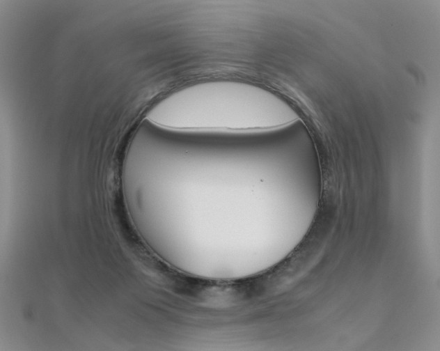 X0000112170119200908071007