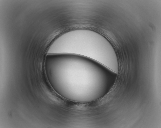 X0000112170120200908071007