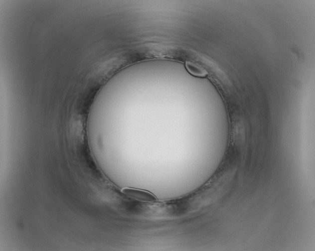 X0000112170121200908071007