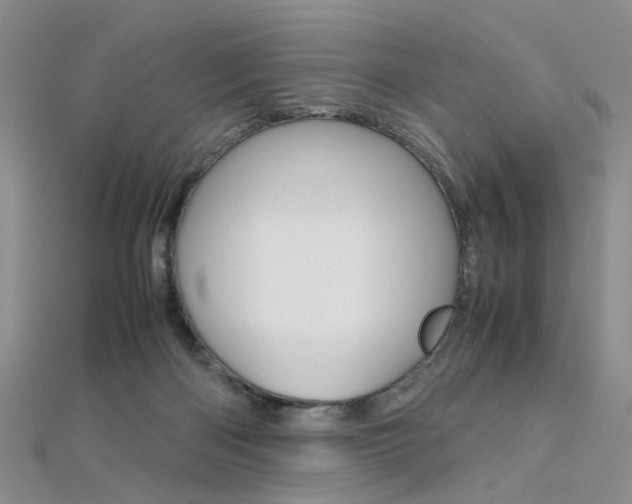 X0000112170122200908071007