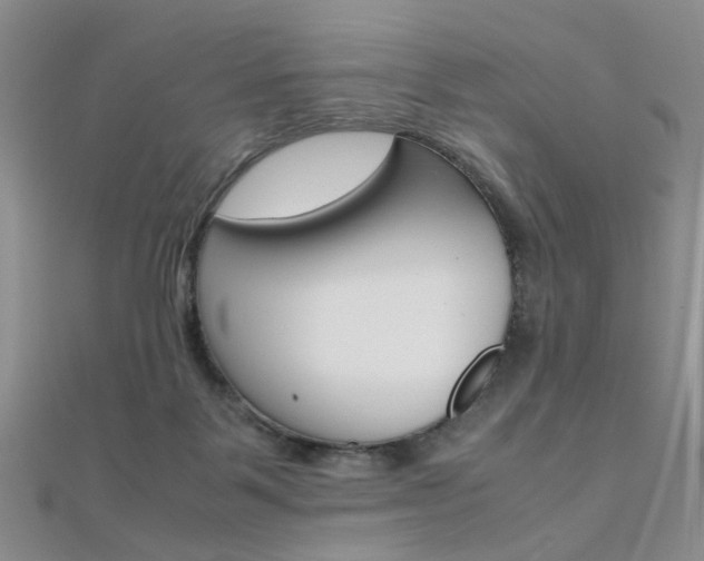 X0000112170123200908071007