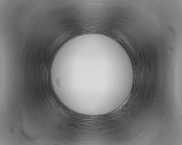 X0000112170124200908071007