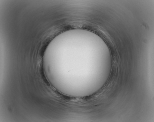 X0000112170125200908071007