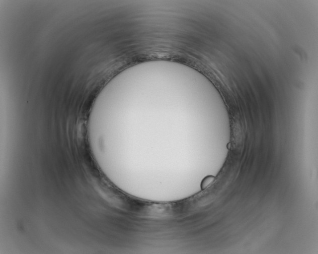 X0000112170126200908071007