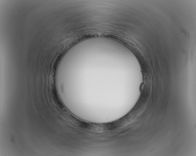 X0000112170127200908071007