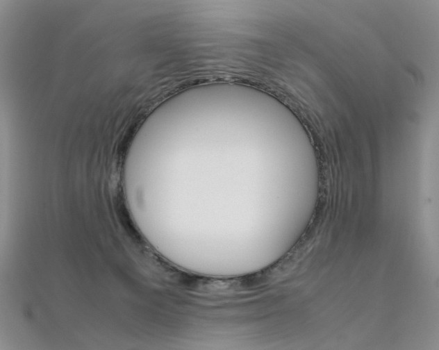 X0000112170129200908071007