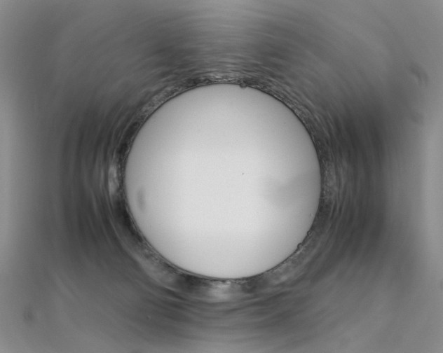 X0000112170130200908071007