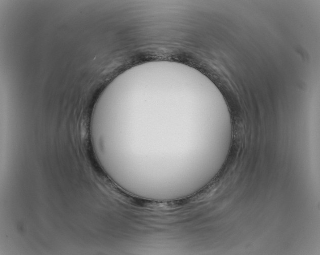 X0000112170131200908071007