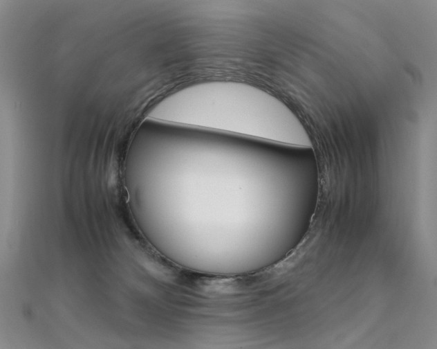 X0000112170132200908071007