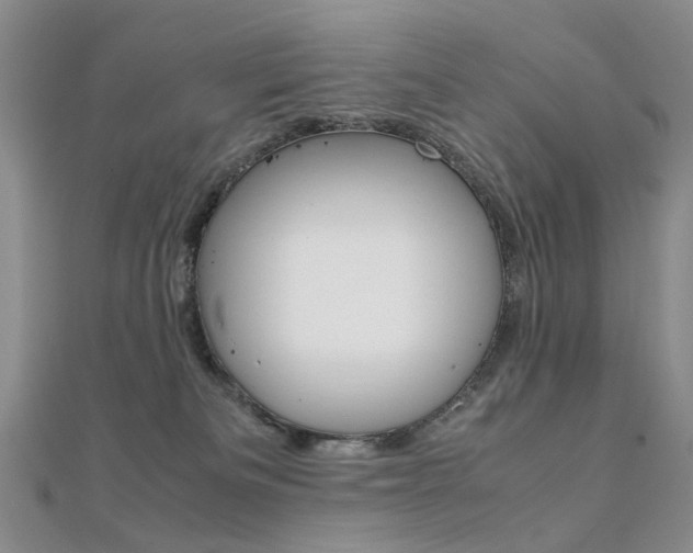 X0000112170133200908071007