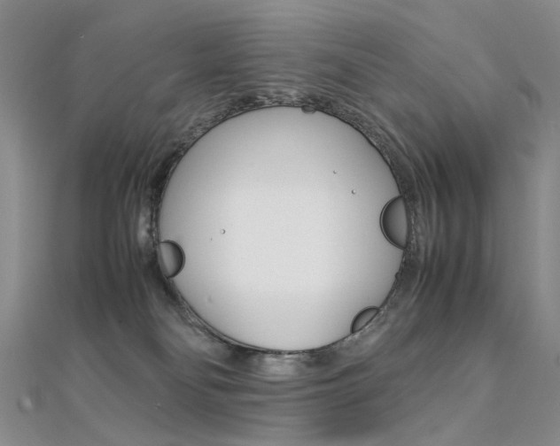 X0000112170134200908071007