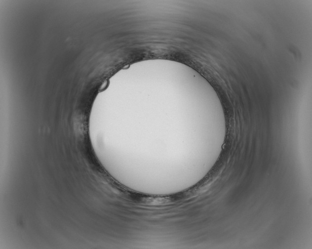 X0000112170135200908071007