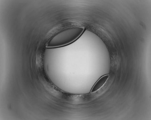 X0000112170136200908071007