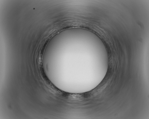 X0000112170137200908071007