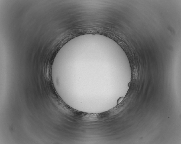 X0000112170138200908071007