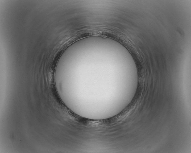 X0000112170139200908071007