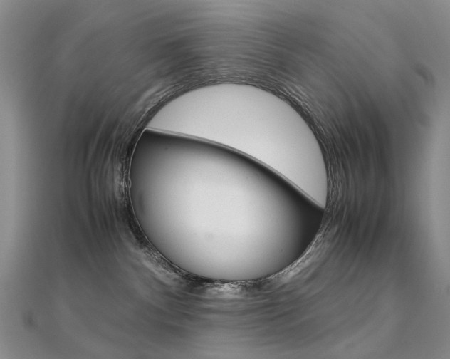 X0000112170140200908071007