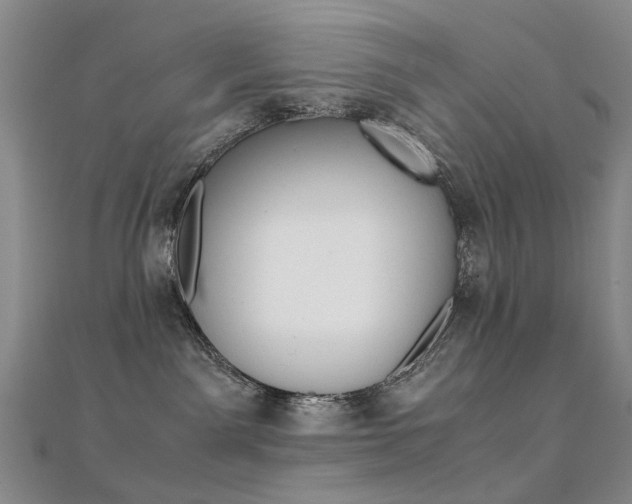 X0000112170141200908071007