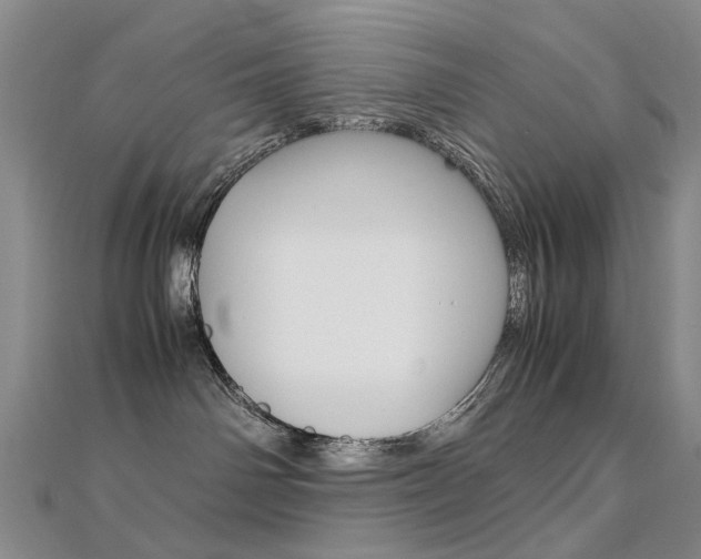 X0000112170142200908071007