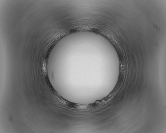 X0000112170143200908071007