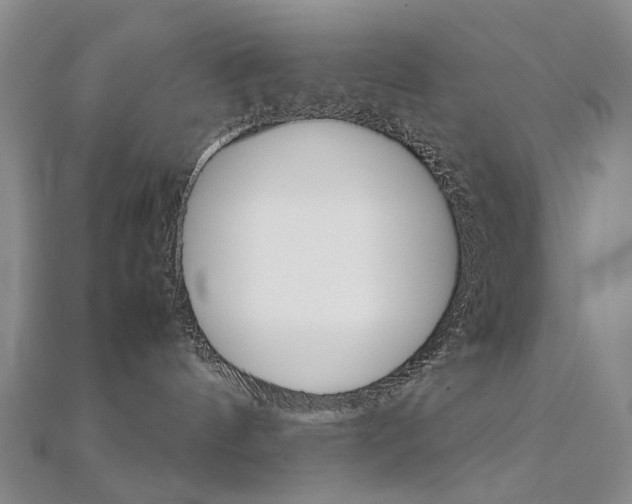 X0000112170144200908071007