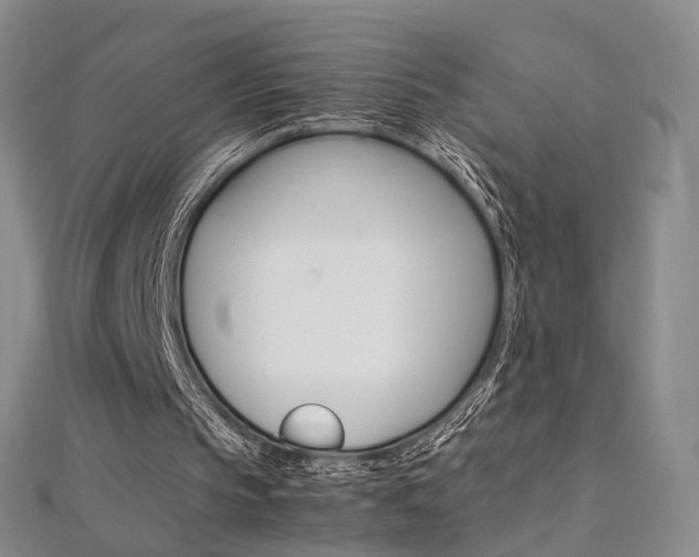 X0000112170145200908071006