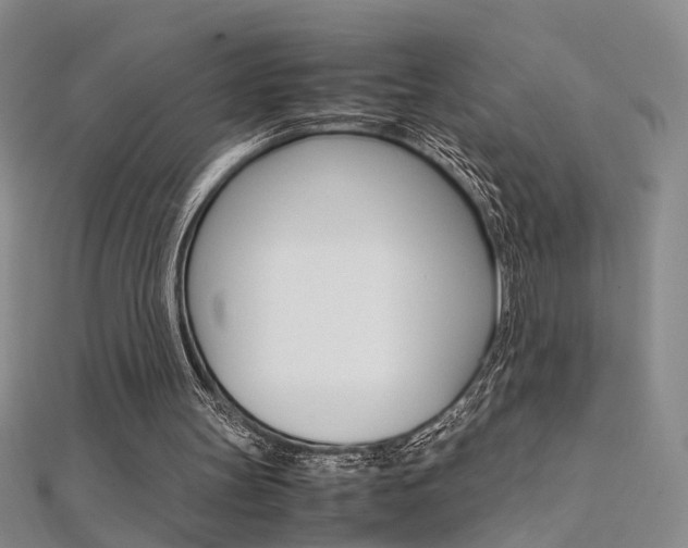 X0000112170147200908071006
