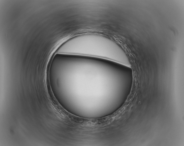 X0000112170148200908071006