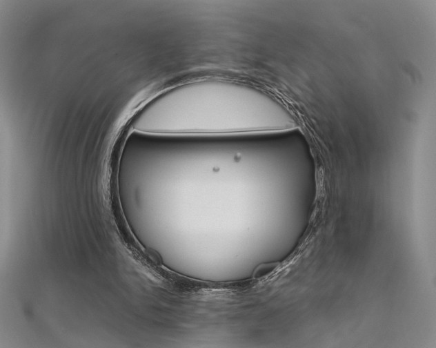 X0000112170150200908071006