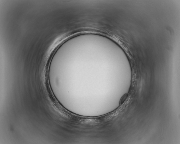 X0000112170151200908071006