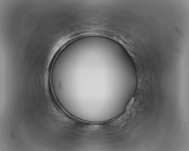 X0000112170152200908071006