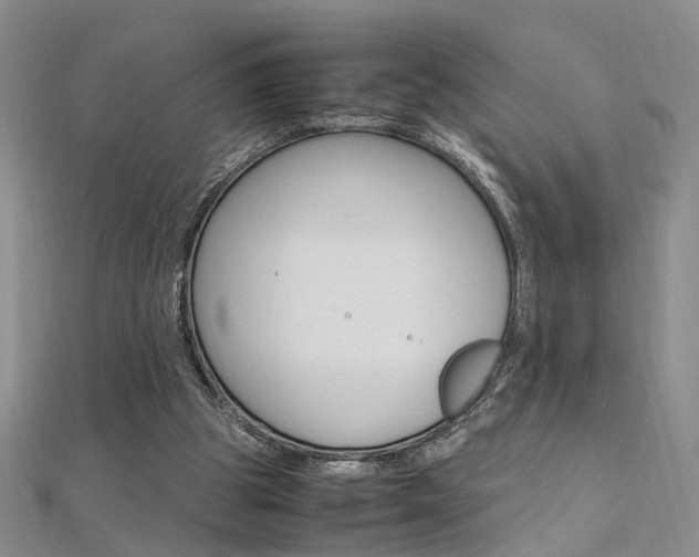 X0000112170153200908071006