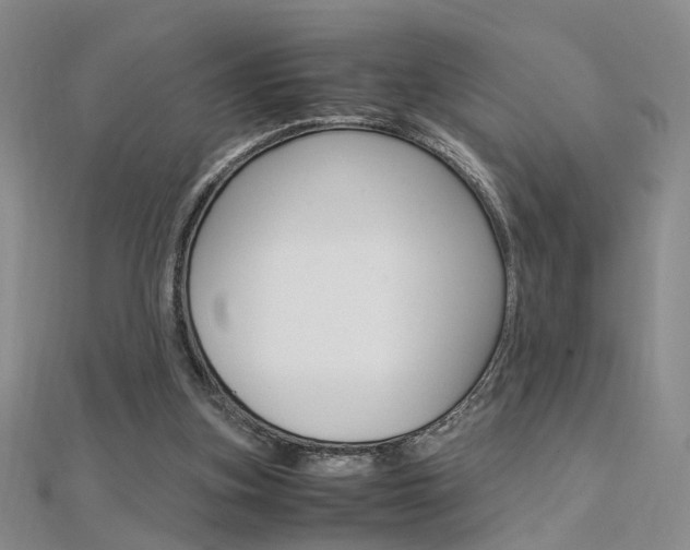 X0000112170155200908071006