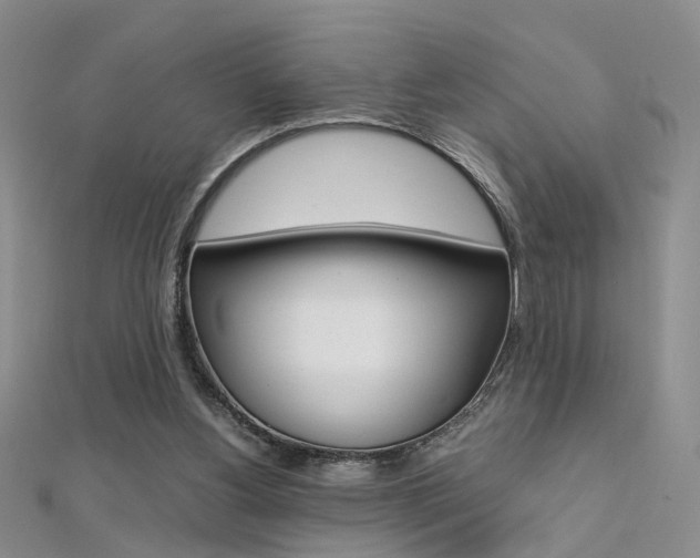 X0000112170156200908071006