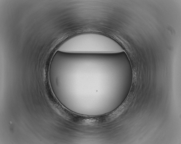 X0000112170158200908071006